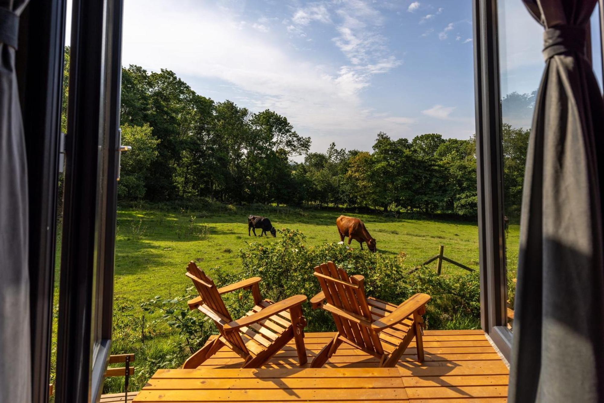 Kullaberg Tiny House By Tiny Away * Mölle